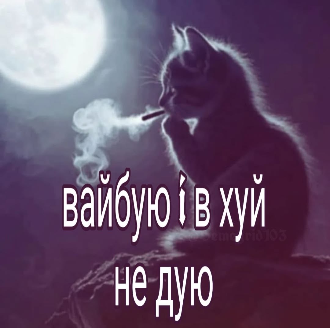 Li_SS4's tweet photo. сегодня купила не розовый раф,а малиновый раф с шепотком гея😊 https://t.co/Em9w3zBS1W