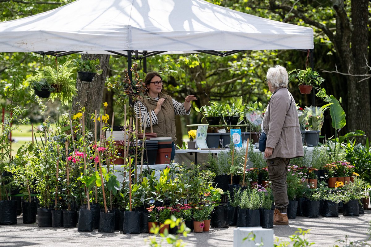 montevideoIM's tweet photo. Primavera en el Jardín Botánico 🌸

Damos la bienvenida a esta época del año con una feria de plantas y libros 📖 🌻

Hoy, sábado 26, podes acercarte hasta las 20 horas, recorrer y disfrutas de varias actividades 🙌 https://t.co/rsSKDahBzJ