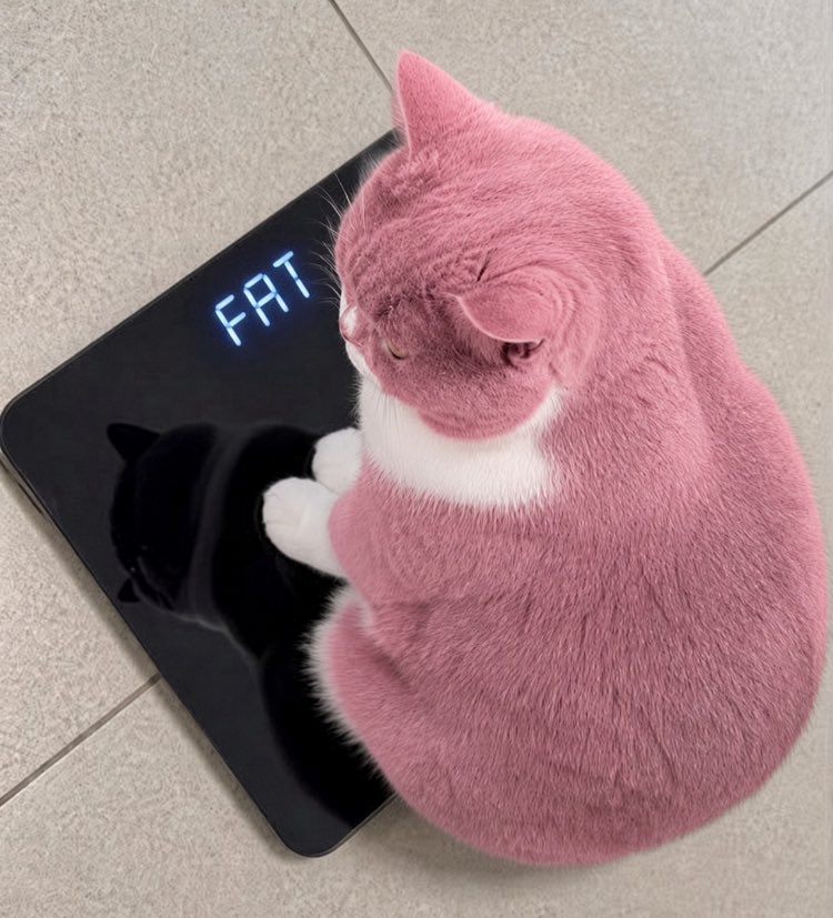 scopynation's tweet photo. Fat pink pussy https://t.co/ofDQEMkqQa