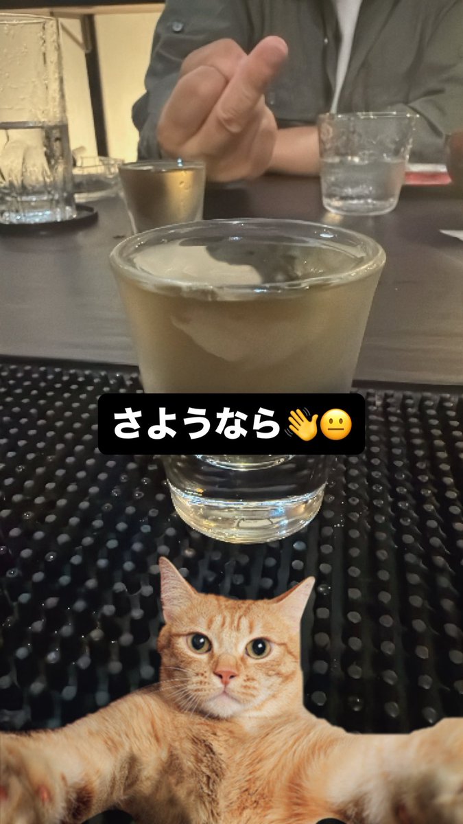 skrr_cheers's tweet photo. 今日も楽しゅうございました🫶
私は上がったけど
まだムスビは空いてるから飲みたい人はぜひ遊びに行ってね🫶🫶🫶🫶
@musubi_0214 https://t.co/QUBoyalcs0