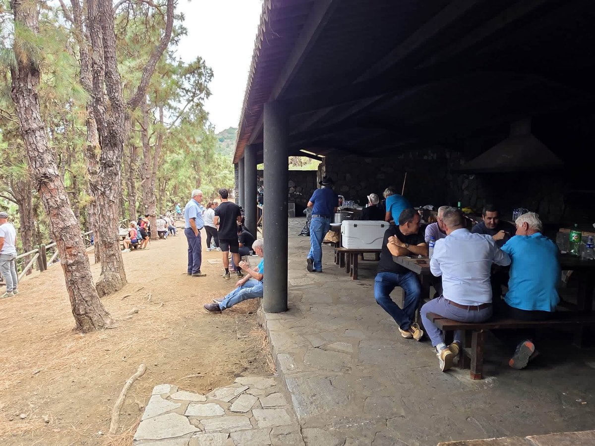 BorjaSenado's tweet photo. I ENCUENTRO INSULAR DE EQUINO ASNAL Y MULAR🫏Hemos vivido una bonita tarde con la llegada de la Burrada 26 a la Montaña de La Breña de Breña Baja después de su salida en la Cruz de El Calvario de Villa de Mazo caminando por la ruta etnográfica a través del GR-130 hasta Breña Baja https://t.co/4kPWllApy6