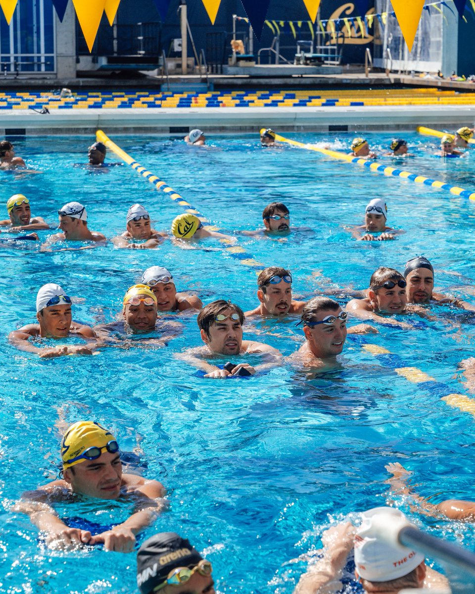 cal_swimdive's tweet photo. The alumni are home 🐻💙

Good to see some familiar faces Back in Bear Territory!

#GoBears https://t.co/QDeNjxvmfR