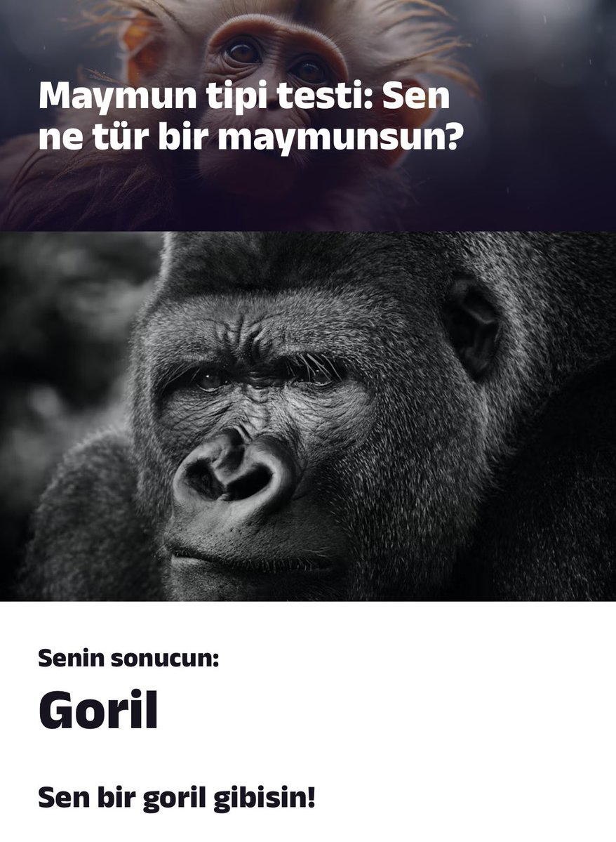gogoercys24's tweet photo. 🍌🍌🍌🍌🍌 https://t.co/zp0NdM5y1L