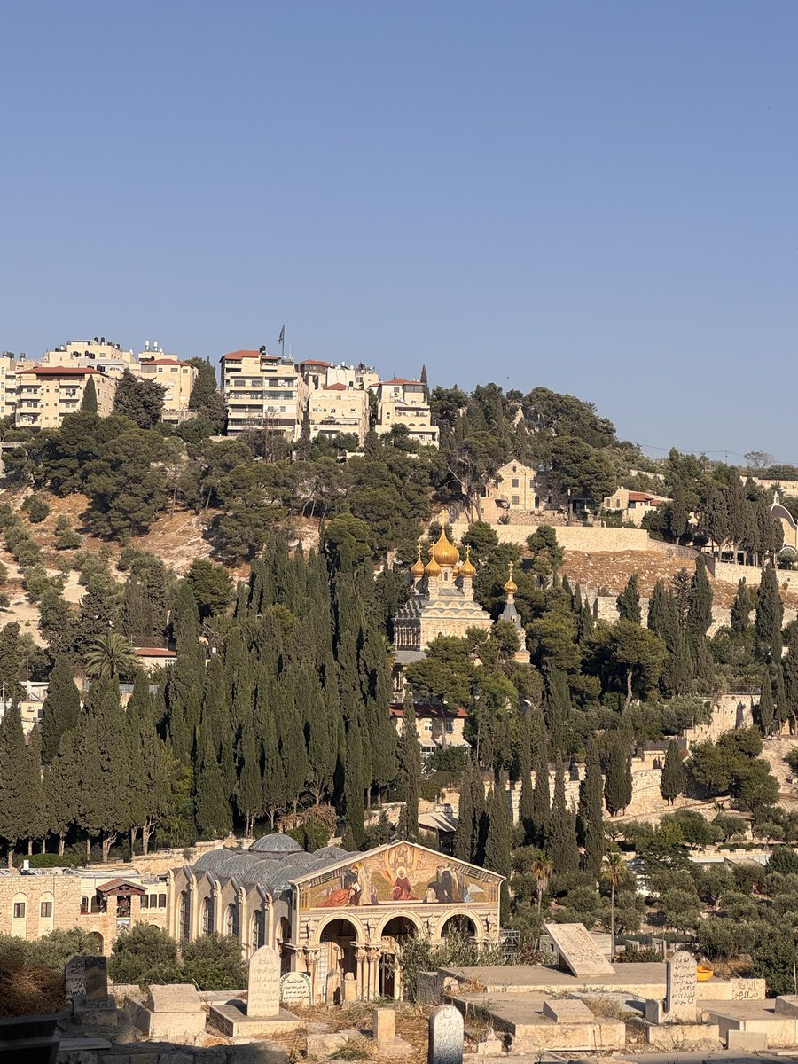 hals_xo's tweet photo. the timeless beauty of palestine <3 https://t.co/hZHtiZAeNA