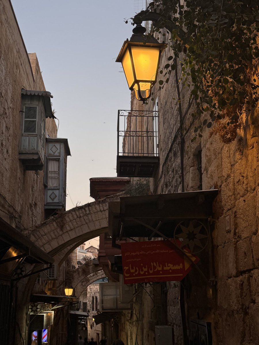 hals_xo's tweet photo. the timeless beauty of palestine <3 https://t.co/hZHtiZAeNA