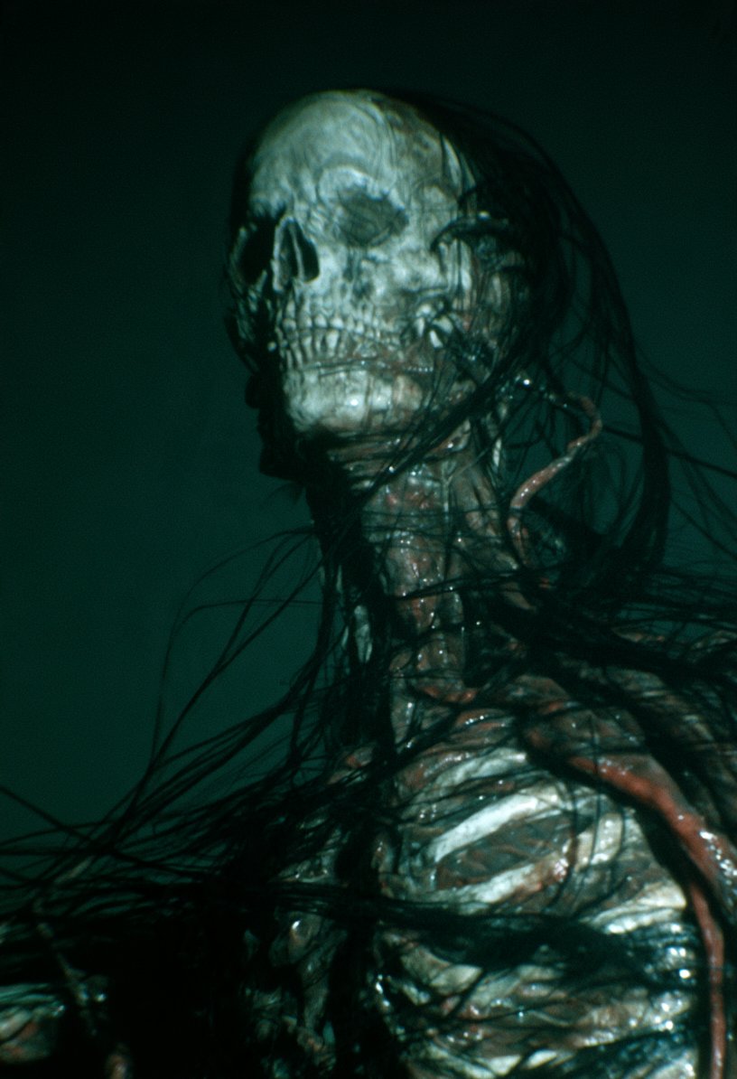 scarysaladnet's tweet photo. How it feels when the air temp finally dips below 60.
#horror #aihorror #scarysaladnetwork https://t.co/HCj2fHsN4t