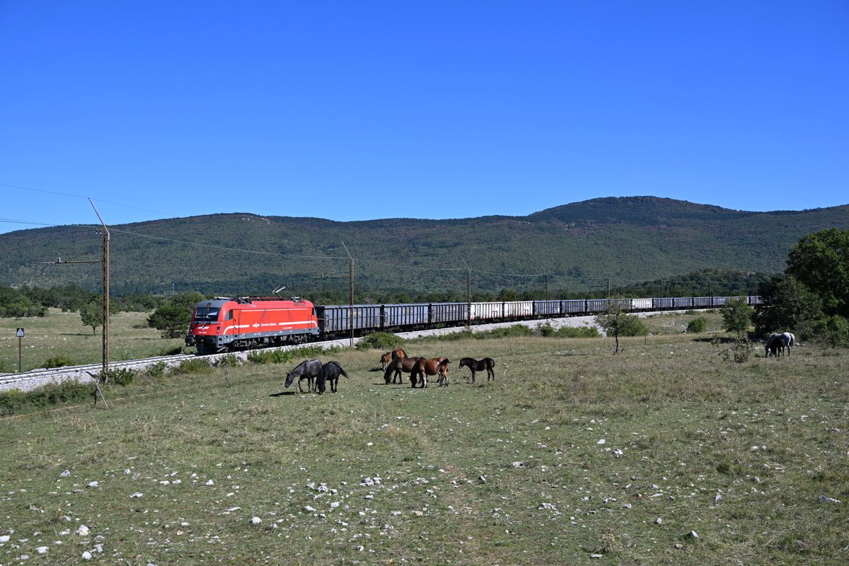 trainsenvoyage's tweet photo. Diversités de circulations sur la ligne de Koper en ce samedi 26 septembre après-midi
#transpotting #cc363sz #vectron https://t.co/86sGcS0uTZ