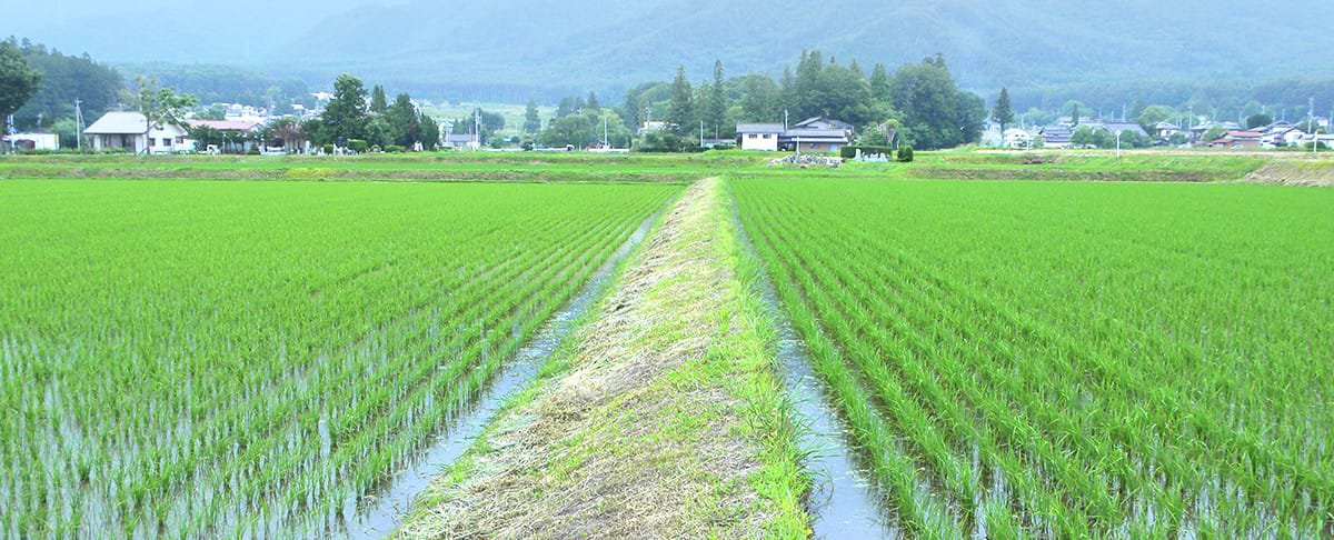 IsaacKalua's tweet photo. Technology
AI will not wait for our next meeting, and neither will the rain
- Dr. Kalua Green
https://t.co/jUY0YsKJ8d
#ThinkGreenActGreen #PlantYourAge #Comebackandcheck #rain #ElNino #fypシ゚viralシ #SundayRead https://t.co/5fAXuOVnBf
