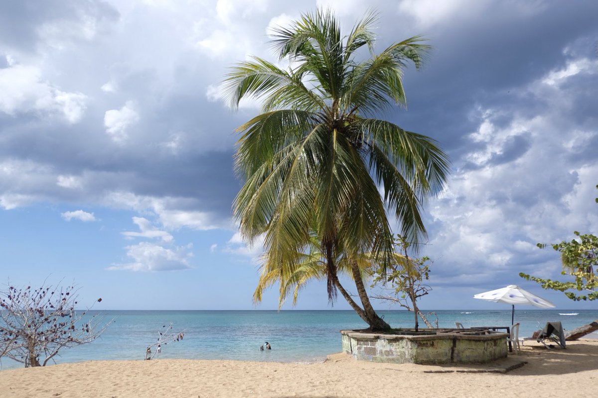chie8037's tweet photo. En Las Terrenas puedo disfrutar de las playas bonitas a pocos minutos. Después del español, aquí escucho más francés que inglés.
#RepublicaDominicana #LasTerrenas https://t.co/elzEBRPVK1