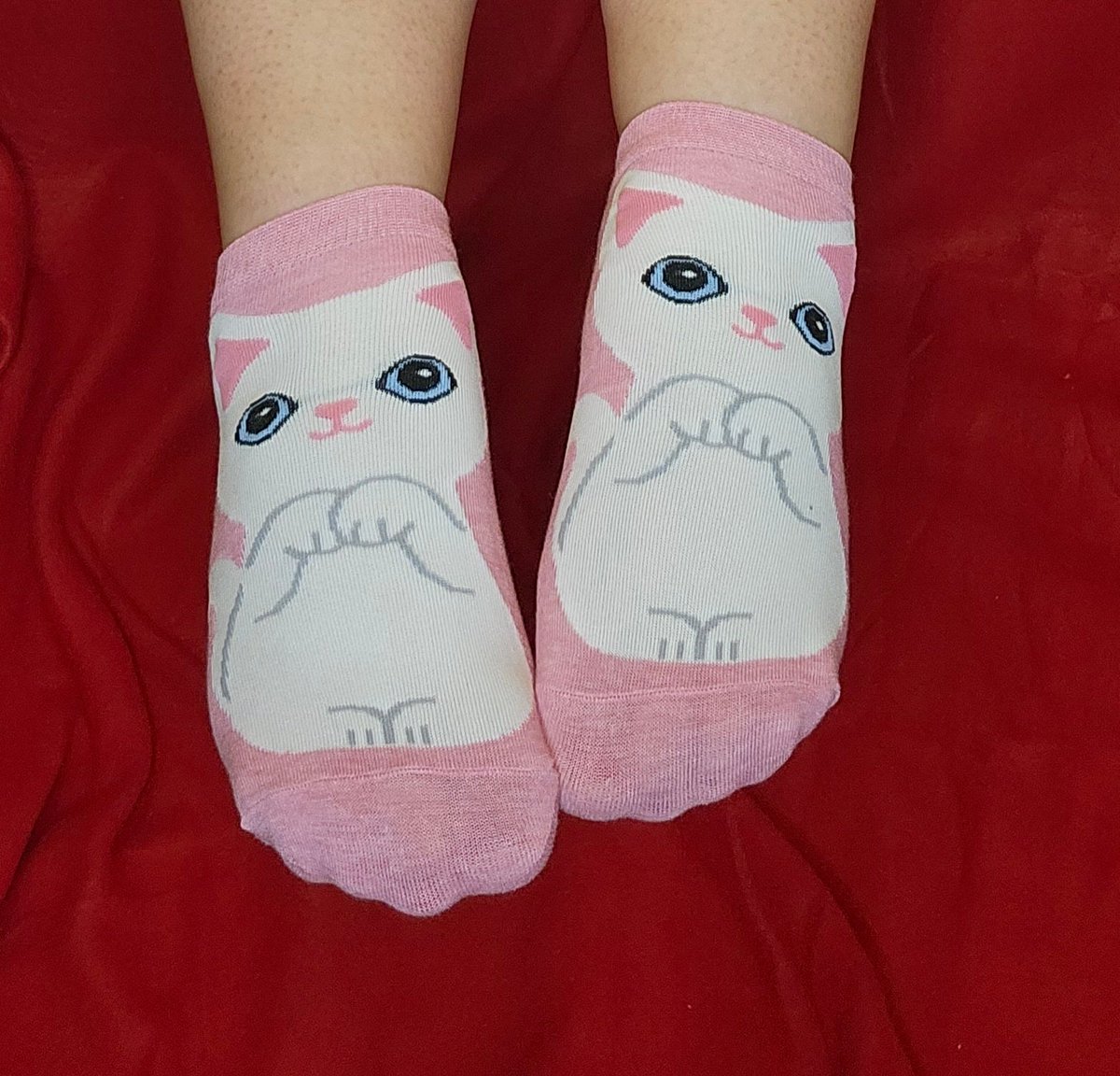 SecretSolesofx's tweet photo. Just a cute Cat showing off some cozy pink socks today 🎀😻 https://t.co/adSiLChEr2