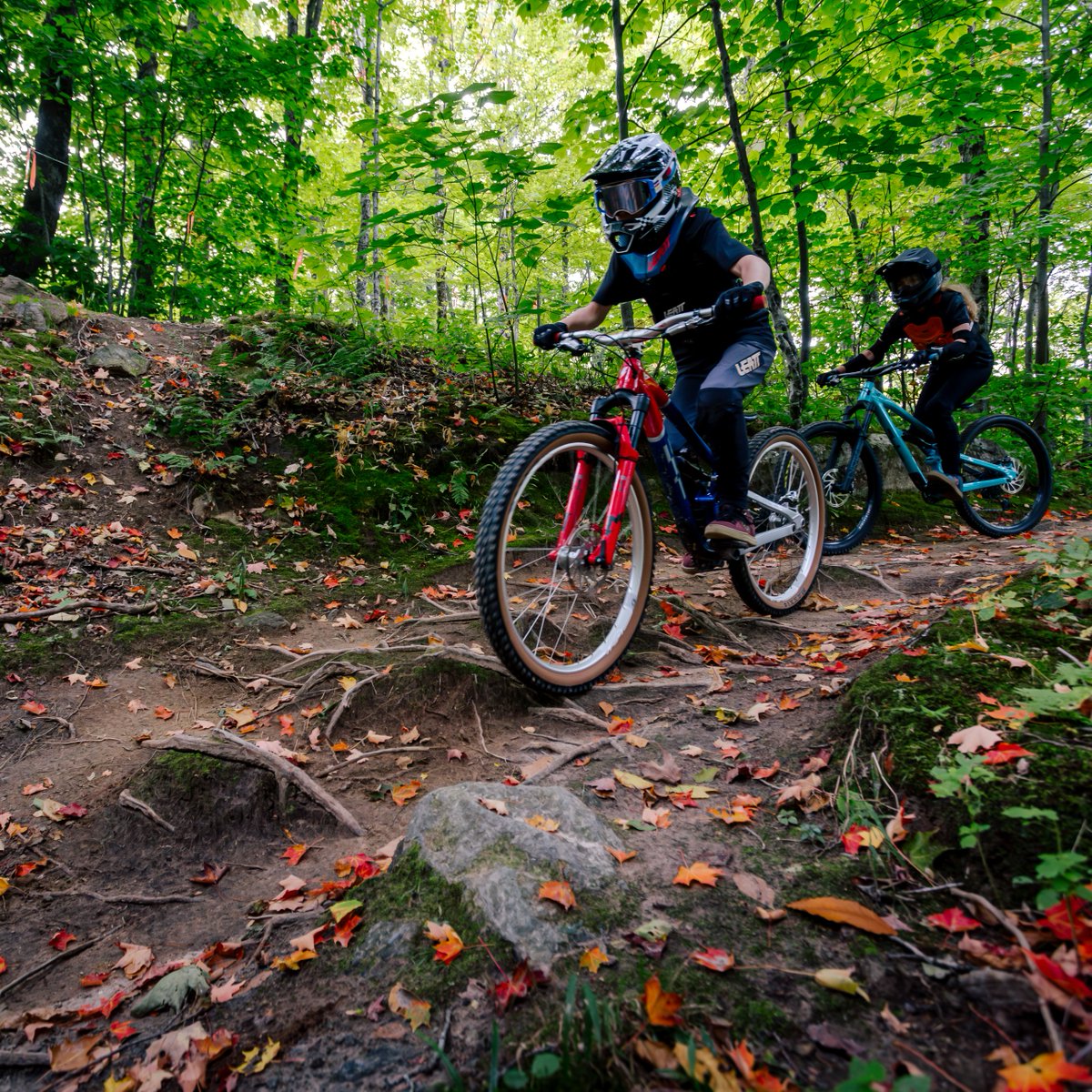 KillingtonMtn's tweet photo. Peak foliage, fresh dirt, and plenty of Bike Park season left to send it. Chase laps through the fall colors, or get in on the action with Bike Park rentals and lessons available🍁🚵

Get ready to ride 👉 https://t.co/NRaFSXGD5V
📷 : Randy Williams

#bethebeast https://t.co/tn7S5ALBgv
