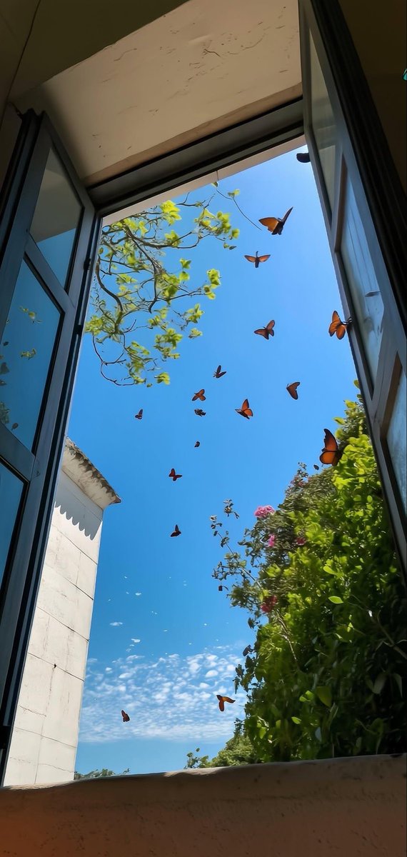 ms_architecttt's tweet photo. 🦋butterly
#photography #travel #waterfalls #butterfly #nature #landscape #beautiful #sunset #wallpaper #iphone #nature #serenity #lake #sunlight #wildlife #peace https://t.co/S1auKAPUEz