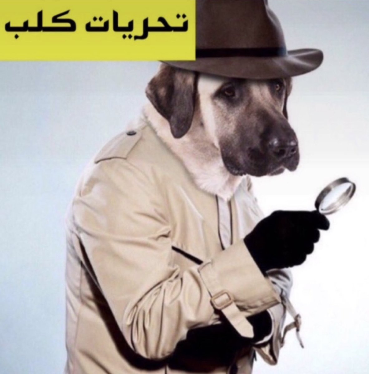 MohammedHa4027's tweet photo. @Hamedq71 تصدق توأم منك https://t.co/zUWOB1Wumd