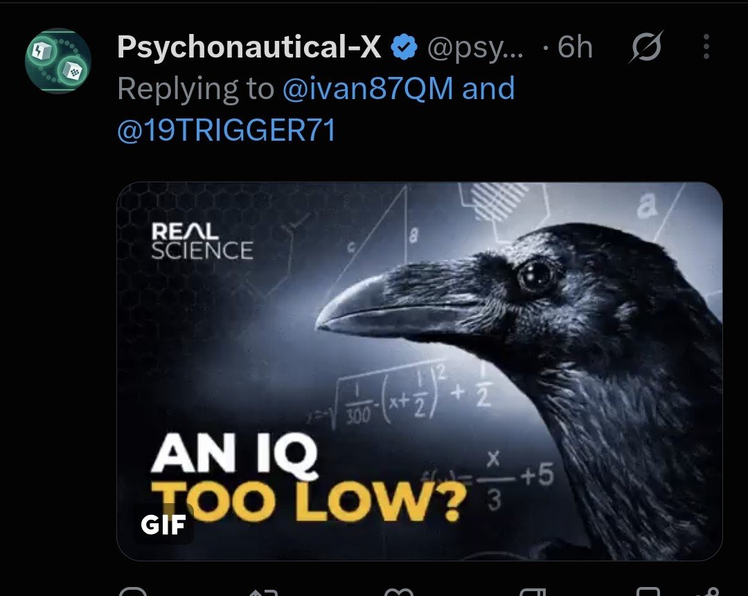 ivan87QM's tweet photo. They baffled me some of these people I call controlled opossitokn lmfao 🤣  @realDonaldTrump @elonmusk.. https://t.co/5Wo36cC4tx