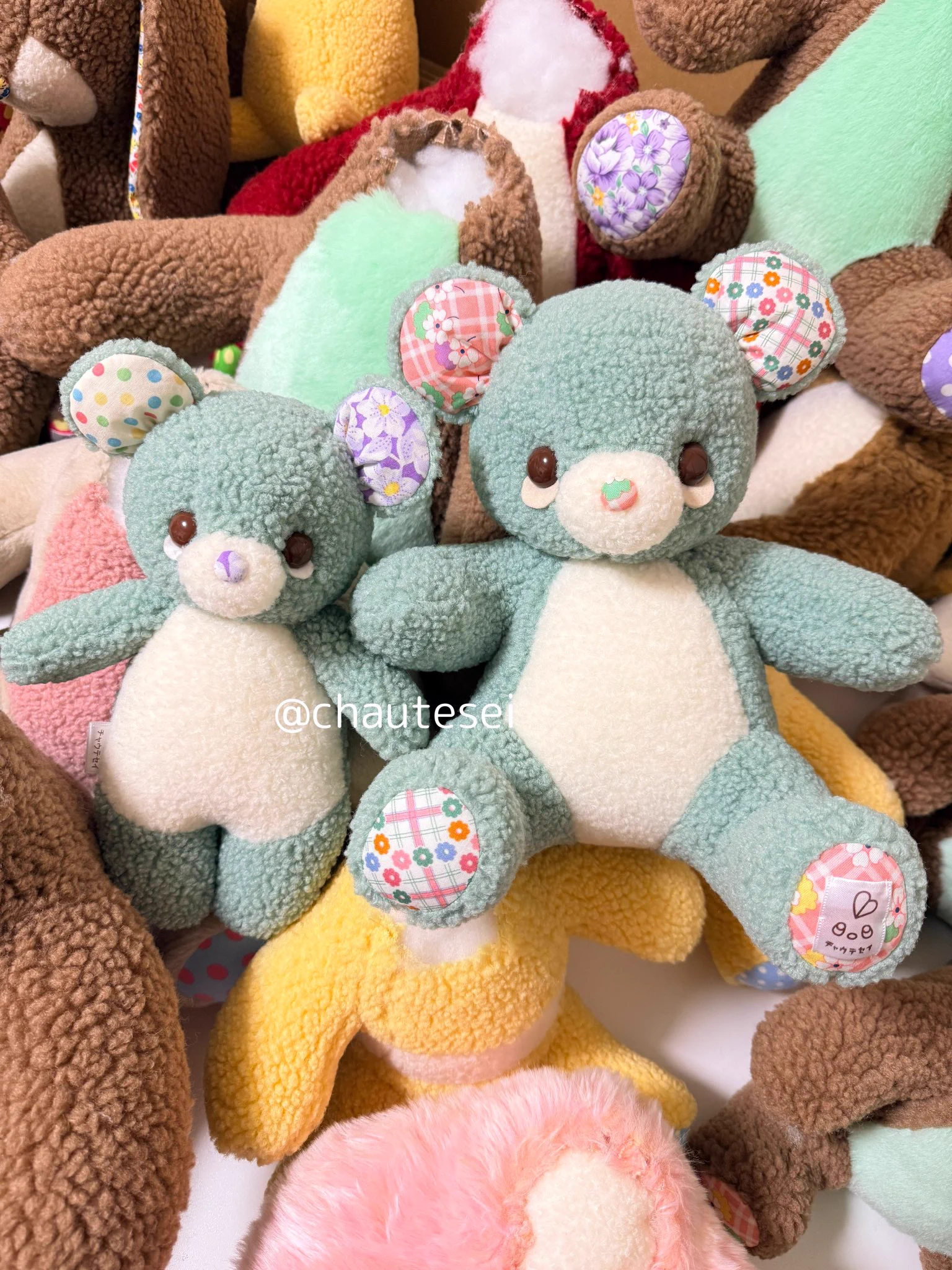 チャウテセイ ソマくん ぬいぐるみ チャウテセイ ソマくん ぬいぐるみ