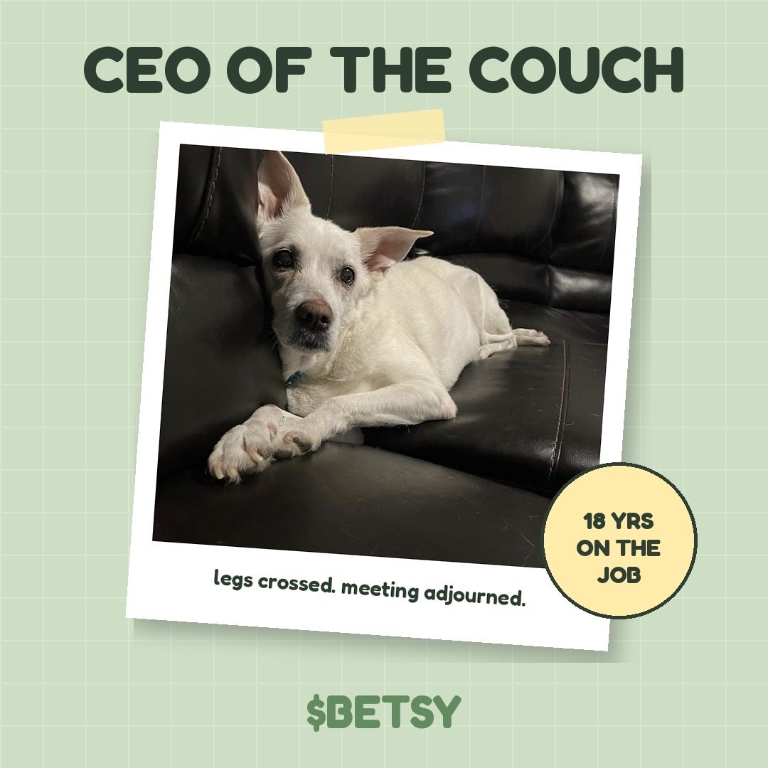 BetsyGFORGE's tweet photo. legs crossed. couch secured. 18 years undefeated.
the boss is in. $BETSY 🐾 https://t.co/wM5RNHfQcU