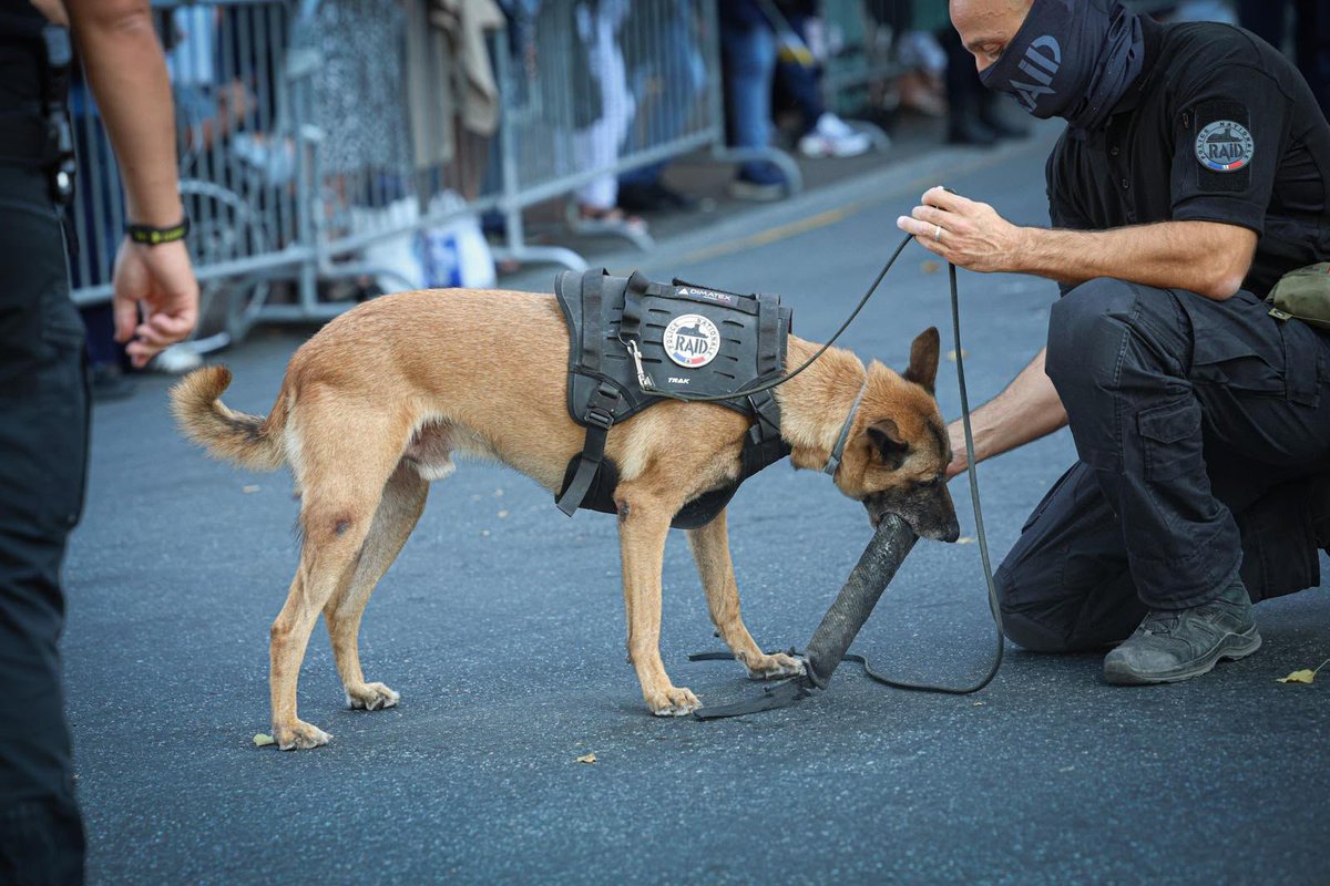 PoliceNationale's tweet photo. https://t.co/9C61Qbq3dM