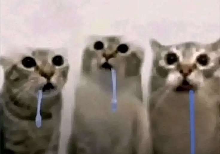 BriBottomNation's tweet photo. jeje.. hormian... jeje
https://t.co/aPt2JpNmmz
— 🐈‍⬛ https://t.co/TNK3bfEzoX