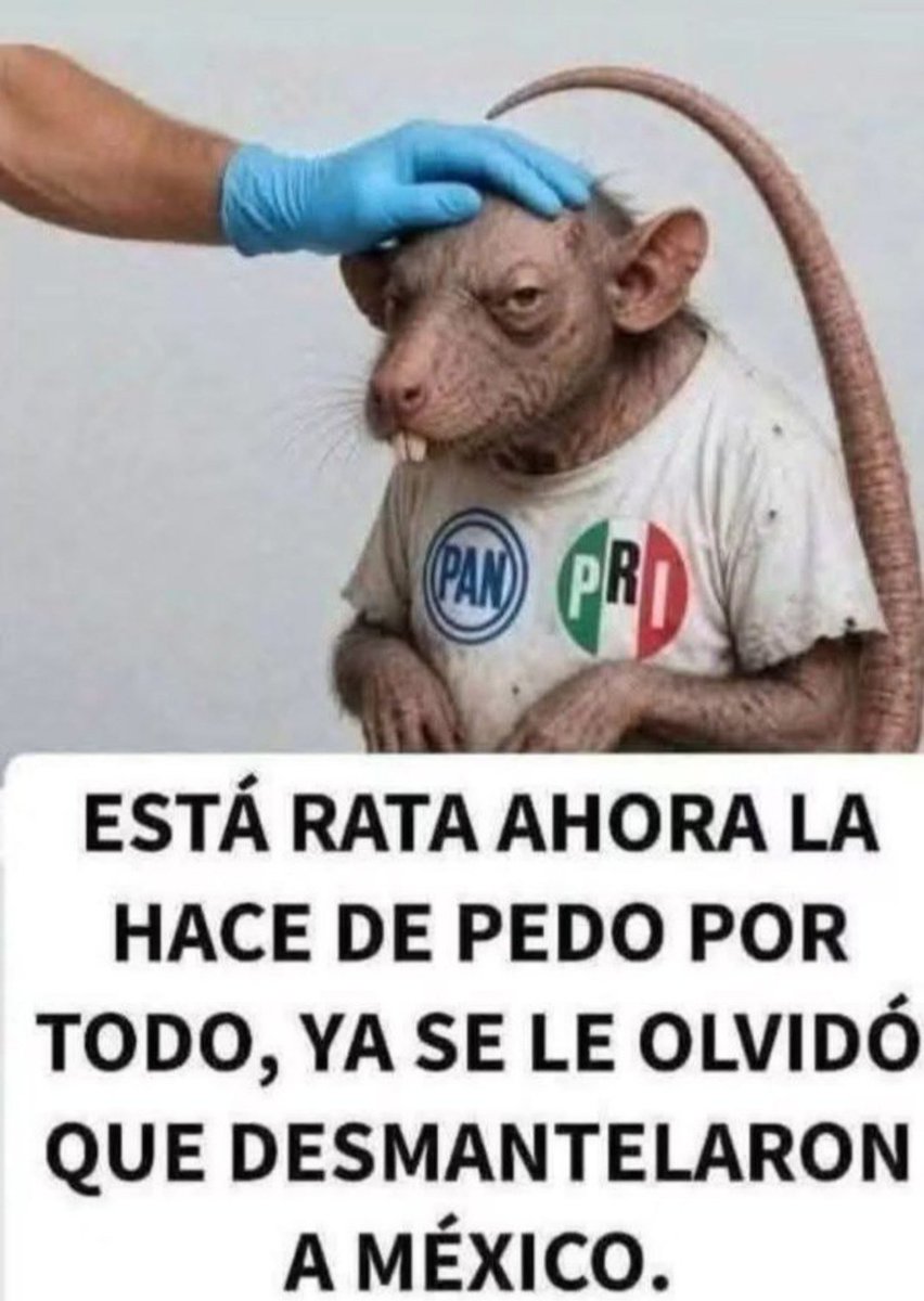 MayRey2wx's tweet photo. @JorgeRoHe @AccionNacional Chinnnnnnnn ya te lo envíe @JorgeRoHe RAT0TA 🐭... https://t.co/OL2UCE1XjF