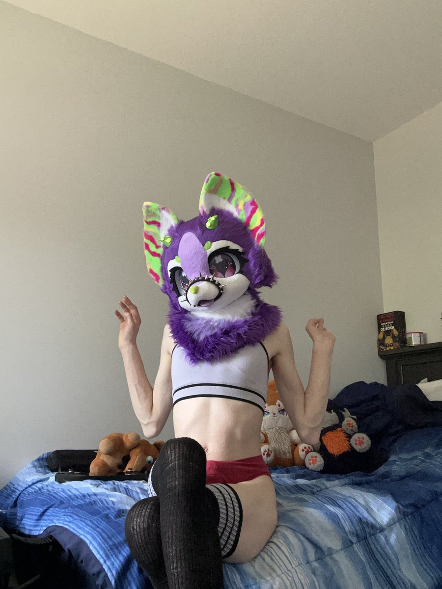 SkullDogFemBoi's tweet photo. Good morning cuties 🥰💜🖕

#cuties #aliencat #furries #baddies #sexy #butt https://t.co/t1OlKIqhge