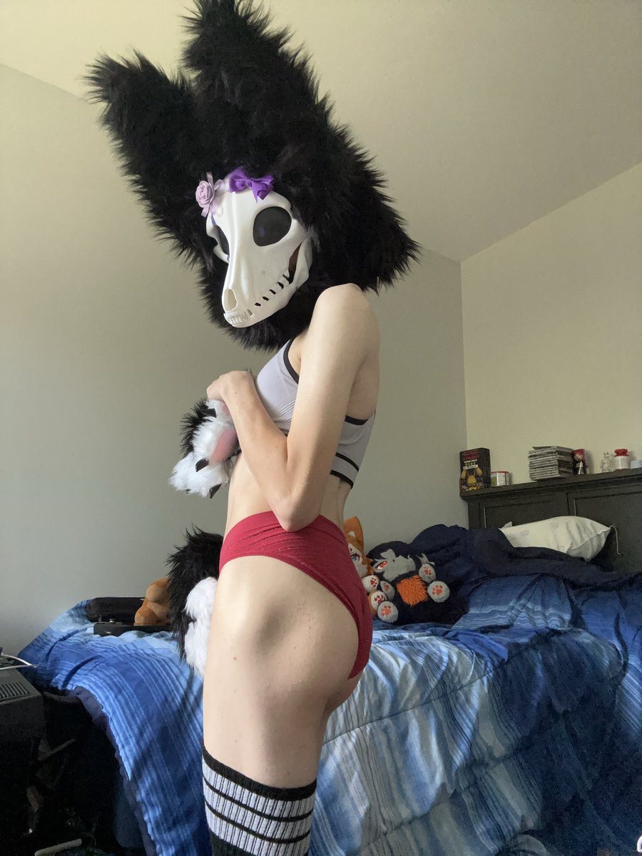 SkullDogFemBoi's tweet photo. Cute Skulldog femboy 🥰💜

#cutie #skulldogs #furries #baddies #sexy #goodboi https://t.co/QsH7lV9Cg0