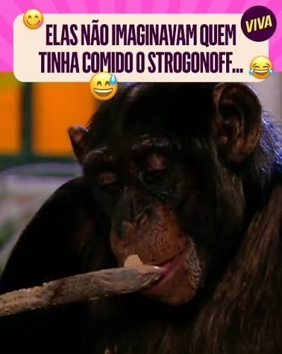 NeurasTremDoido's tweet photo. Deitei uma panela de strogonoff https://t.co/lEAogYtoqG