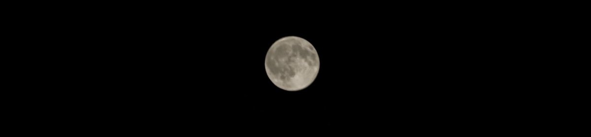 astro4pics's tweet photo. She's so pretty 🥹🌕 https://t.co/j1SRtsJFus