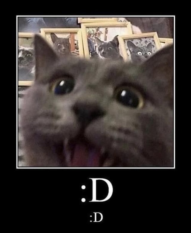 catsdotjpg's tweet photo. :D https://t.co/0qLEtbUMbG