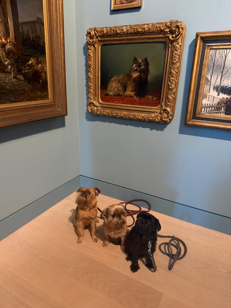 penelopehaller5's tweet photo. International Dog Day was amazing. SK Food Advisory, Betsy the Baroness, Kunstpalast https://t.co/F3XmLW3RzT