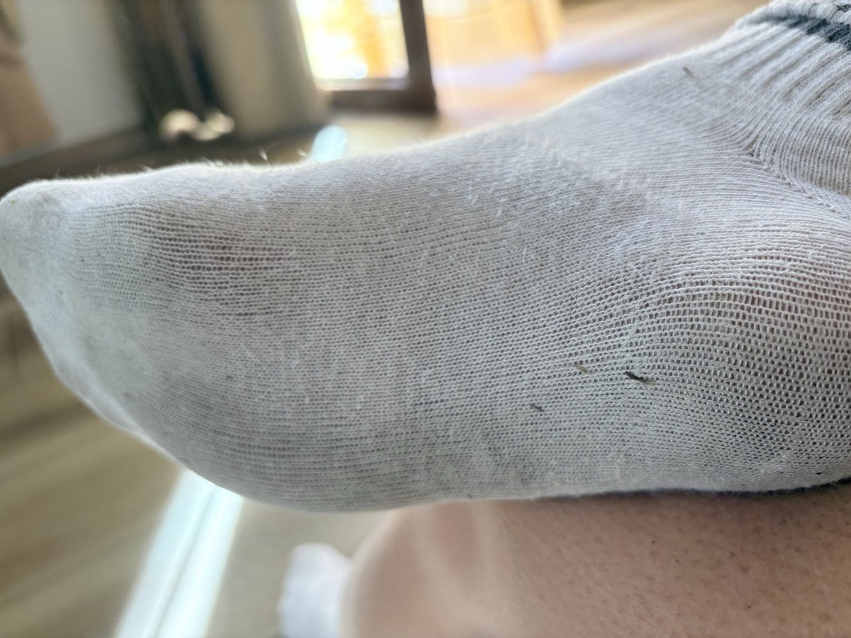 EleniSkye's tweet photo. Hard workout at the gym - what do you think? Which taste do have my socks?✨ Comment, if you wanna see more AND soles… https://t.co/dPEBTSMxGL