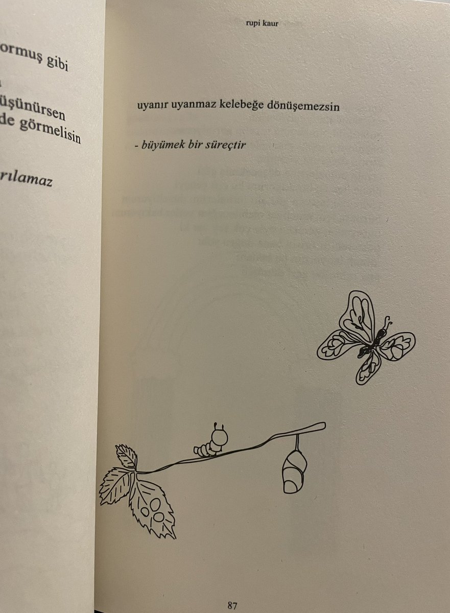 ismaiilaltinsoy's tweet photo. not; https://t.co/pPYU6J7kEB