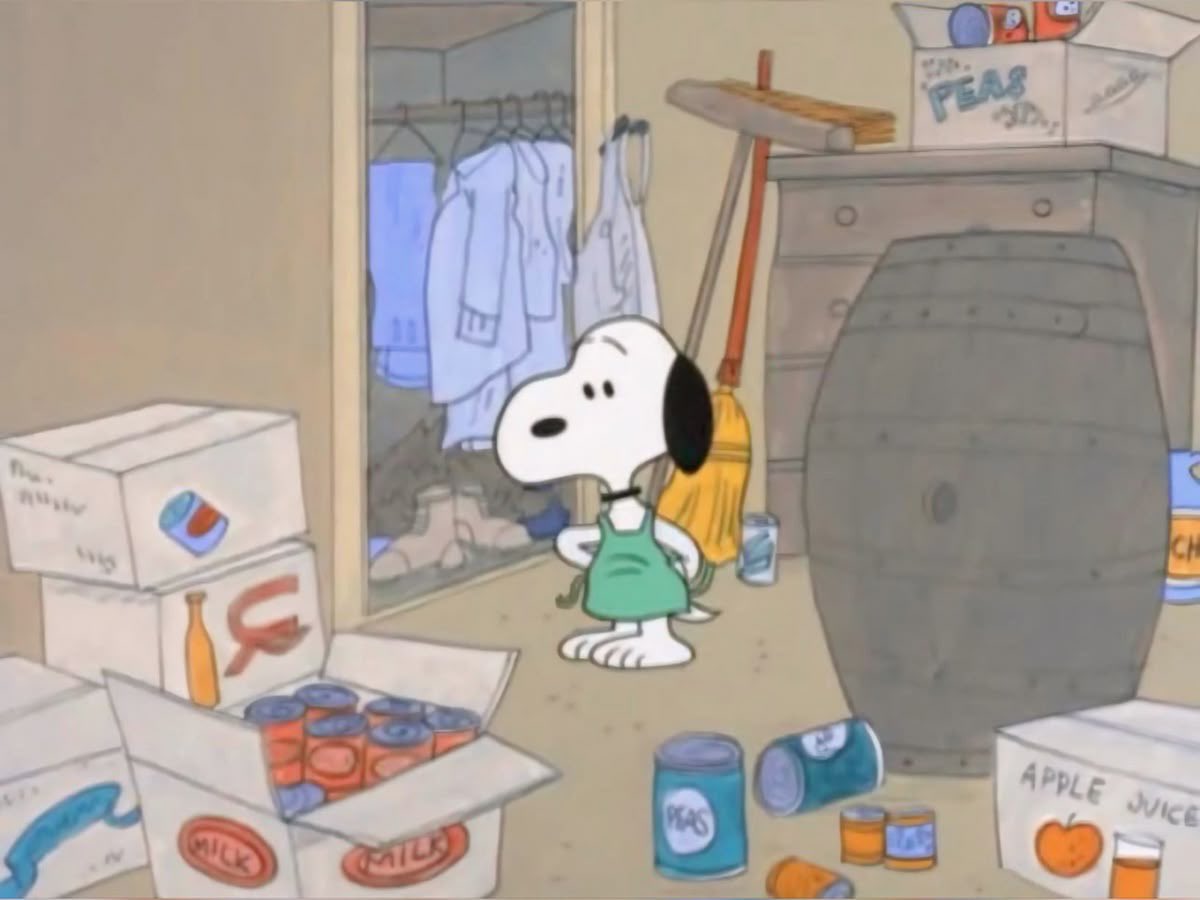 DailySnoopys's tweet photo. https://t.co/TdbSyoSinm