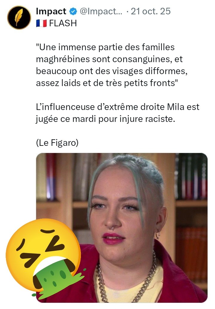 gh_thry_58y's tweet photo. @milafique 🟣 Disons que #SalePute, je ne sais pas mais #SaleRaciste semble tout à fait adapté pour qualifier cette personne nocive qu'est @milafique 👿
> Sinon Mila, comment reconnait-on une supérette #LFiste ? 🤣
#CarrefourCity #Islamophobie #FuckExtremeDroite #FuckRacism #StopRacisme https://t.co/Dx8Pf94nfd