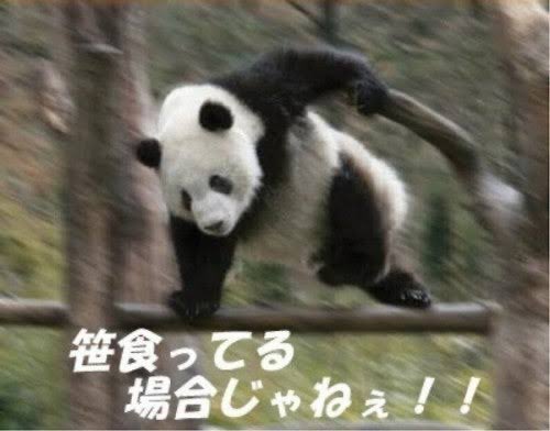devgru_seals's tweet photo. @LandLillust よく見たらこれのオマージュで草 https://t.co/3KfDijKcPN