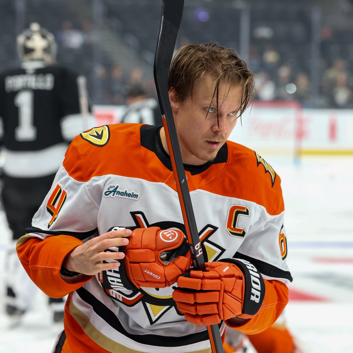 AnaheimDucks's tweet photo. You love to C it. 

#FlyTogether https://t.co/tlsNBnWu6b