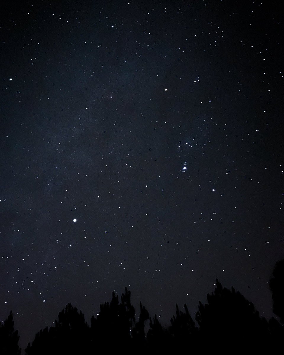 sage_astr's tweet photo. i love stargazing https://t.co/3ZEP4QXJC8