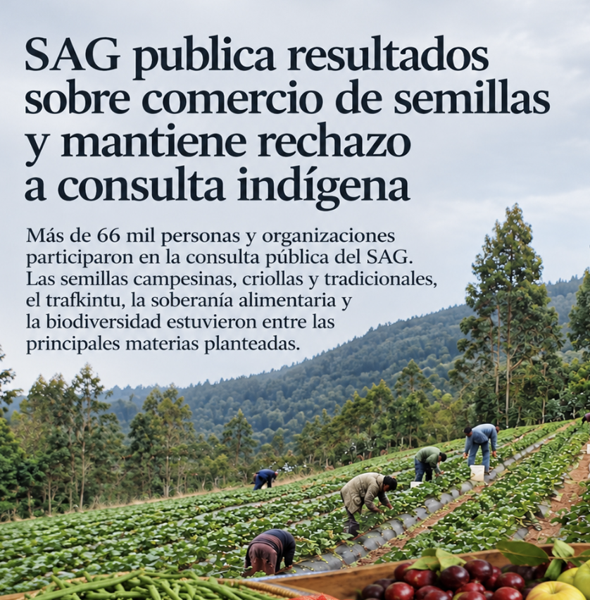 ChileHuerta's tweet photo. Si no levantamos la voz, el SAG (y el Estado) harán cosas irreversibles con impactos tremendos en la naturaleza... Inconscientes o la ambición de poder es realmente una locura? https://t.co/Gx3cHiCnUm