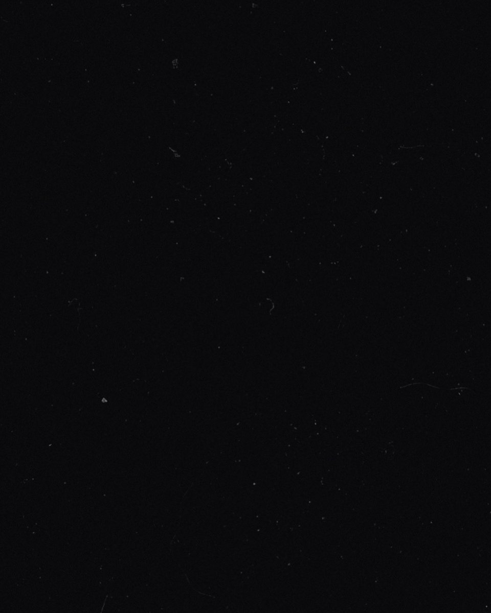 BrockAndBite's tweet photo. He thought he heard his phone chime while in the shower.

Turns out it’s his 𝕗𝕒𝕧𝕠𝕣𝕚𝕥𝕖..

——

📲 ɪ ꜱᴡᴇᴀʀ,
ᴠᴇɴᴏᴍ’ꜱ ꜱᴜɪᴛ ʜᴀꜱ ʙᴇᴇɴ ᴛɪɢʜᴛᴇɴɪɴɢ ᴏɴ ᴍᴇ, ᴏʀ ɪ’ᴍ ᴊᴜꜱᴛ ɢᴀɪɴɪɴɢ ᴡᴇɪɢʜᴛ.

ᴛʀᴀɪɴɪɴɢ ꜱᴏᴍᴇᴛɪᴍᴇ?
ɪ ɴᴇᴇᴅ ᴛʜᴇ… ᴡᴏʀᴋᴏᴜᴛ. https://t.co/iI4TMlThld