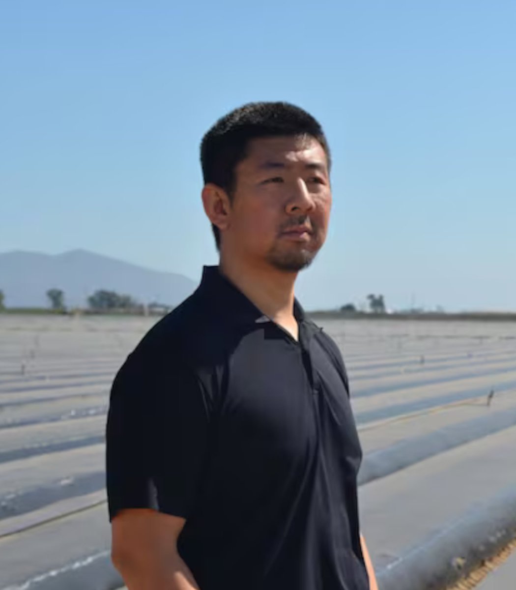 pubity's tweet photo. US fruit company Driscoll's is being sued by a former employee for allegedly sending millions of pounds of tainted berries to Canada.

David Harada claims he was forced to resign because he tried exposing illegally high pesticide levels in their berries while he worked there. https://t.co/kklajaPkNw