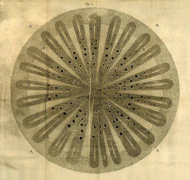 PublicDomainRev tweet picture