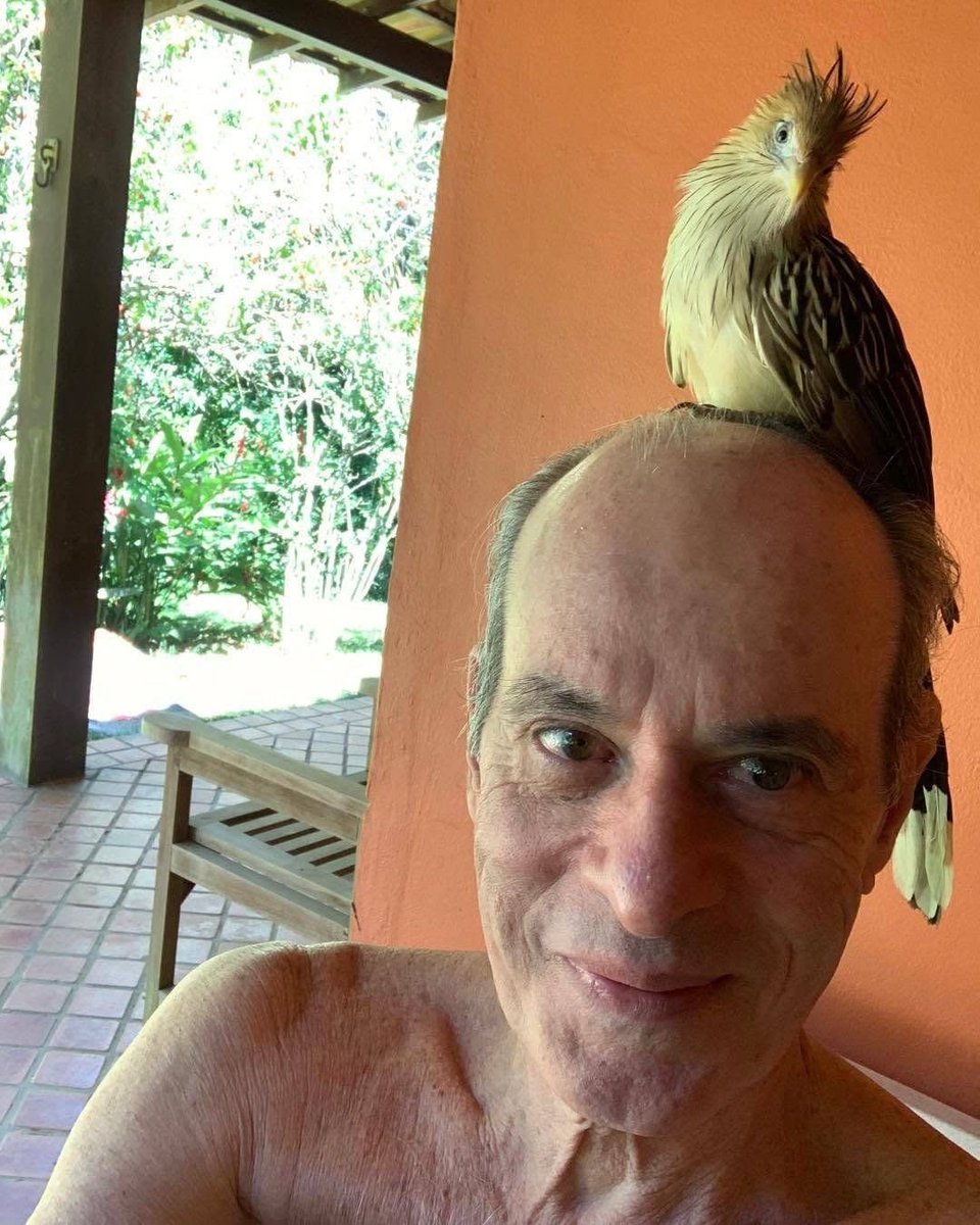 EnsedeCiencia's tweet photo. El cantante brasileño Ney Matogrosso transformó más de la mitad de su finca en una reserva para proteger la Mata Atlántica. 🌿🇧🇷 El lugar también recibe fauna rehabilitada y ya ha sido escenario de la liberación de más de 10 mil animales silvestres. https://t.co/MAfvRxSp5U