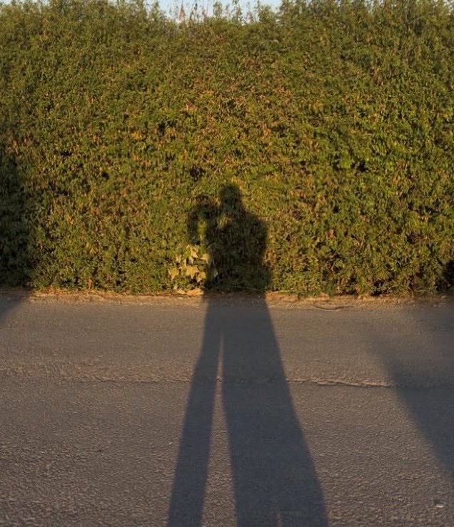 infoari's tweet photo. ansioso por esse álbum pós casamento https://t.co/sET8bD9hAa