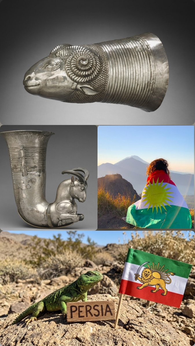 bumalel's tweet photo. @iran26523054494 @kurdishniggaa نبینم گوبخوری بزمجه بیابونی https://t.co/wEyg9SF72t