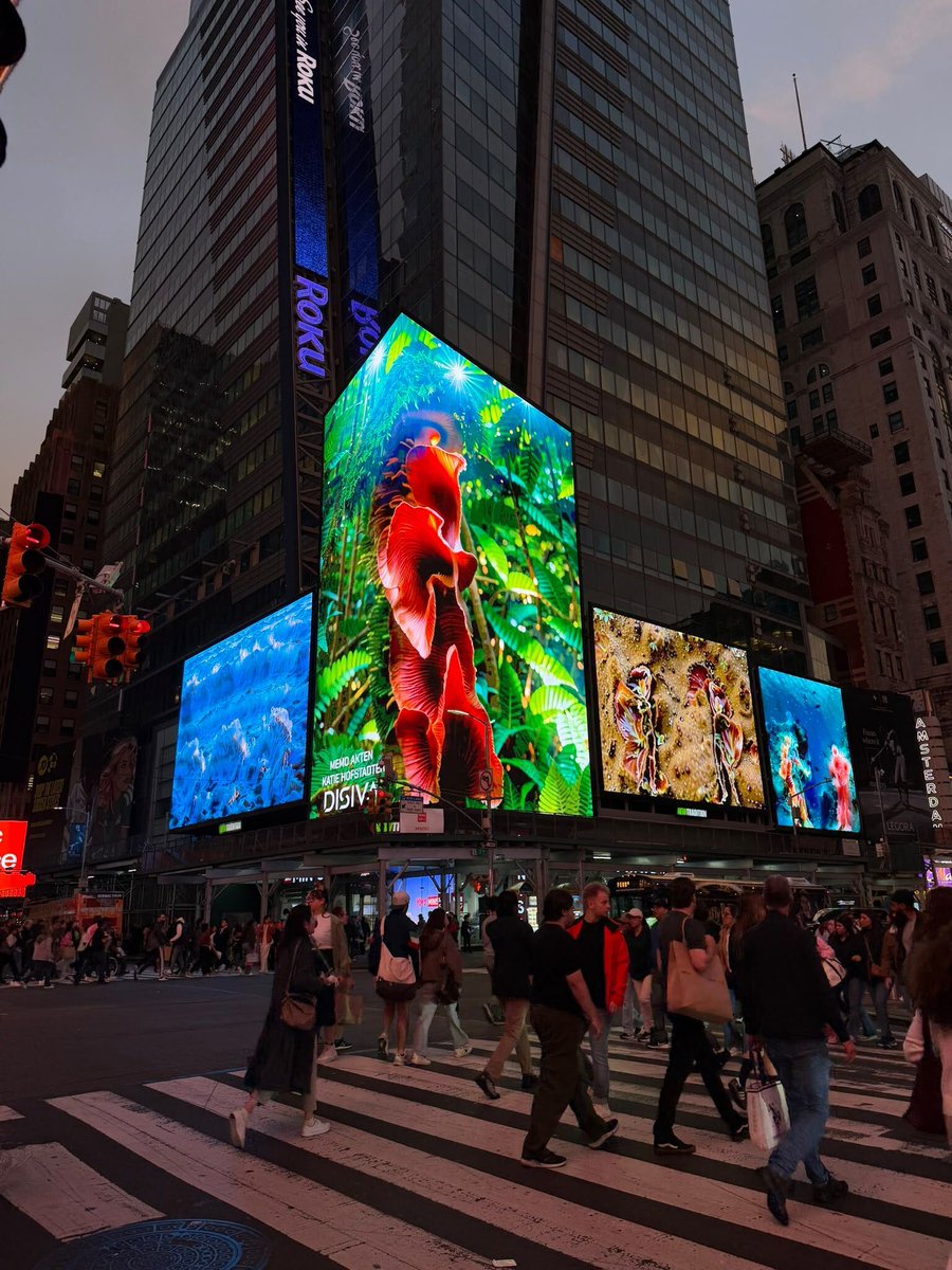 GAZELL_iO's tweet photo. Now playing in Times Square | GIANT SIGNALS

Works by @memoakten & @KatieHofstadter, #BrendanDawes and @JakeElwes are lighting up #TimesSquare as part of GIANT SIGNALS during #ArmoryWeek.

On screen:

Superradiance — Memo Akten & Katie Hofstadter
Persian Dreams — Brendan Dawes
Zizi — Jake Elwes

25–27 September 2026
5 Times Square, New York
From 6:30pm daily

#GazelliArtHouse #GAZELLiO #DigitalArt