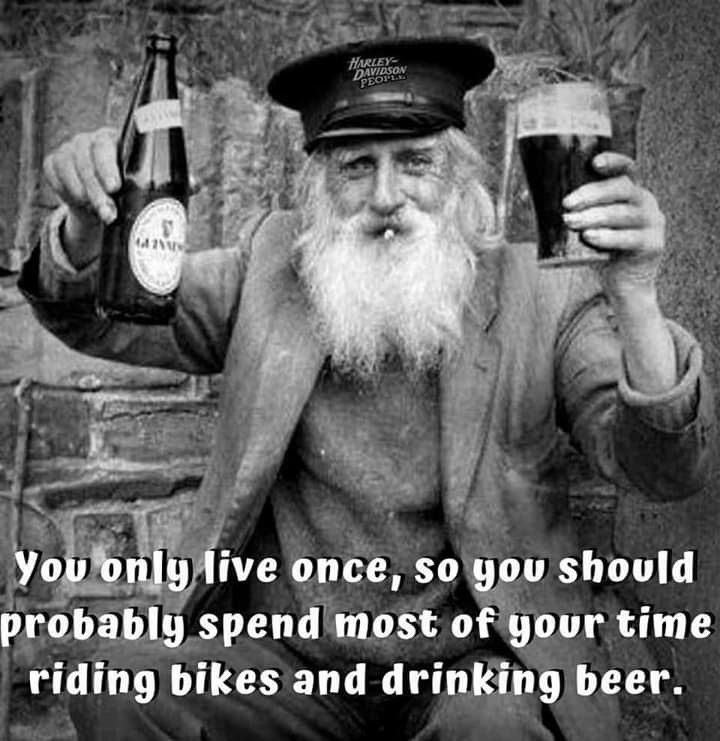 beardedbikez's tweet photo. Cheers @followers

A few well deserved ales this evening to aide the joints after today 

Have a great evening and, fear not, normal service resumes tomorrow.......

#motorcycle #motorcyclelife #harleydavidsonuk #timetounwind https://t.co/7hC8KH7fCa