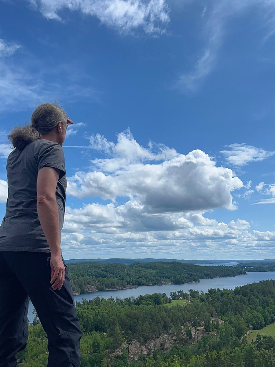 allisonsmithqjs's tweet photo. 294: Water, forest, and sky. https://t.co/r4rDv6cHpd