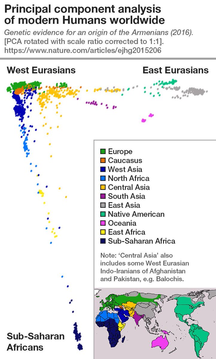 69swagfag's tweet photo. @Vralister @doomernat22 @MessengerOfBaal "The west eurasian levantines" everyone in the middle east has high to full west eurasian ancestry and clusters close to Eroupeans more or less that doesn't make them "white" but they don't overlap, not even caucasians overlap rven tho they got higher yamnya and anatolian lol https://t.co/W9tBBDO2If