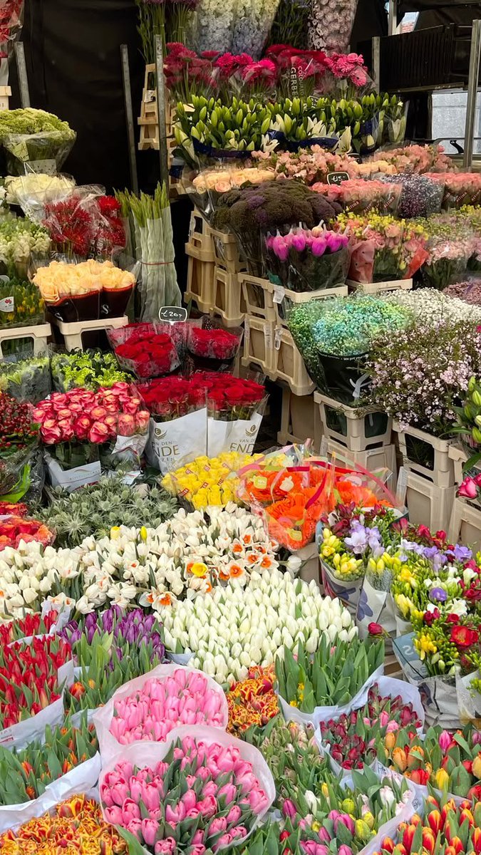 FLOWERS3700's tweet photo. https://t.co/EUIV2P3gfS