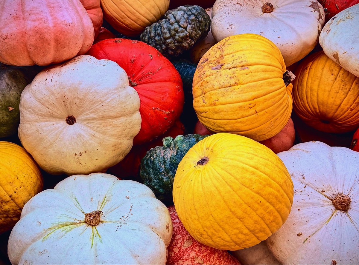 DAnnesEyes's tweet photo. Saturday 26 September
Today's Daily Picture Theme is 'Uplifting Colours'
Reply or RT with your own photo
Tomorrow's theme will be #Vinyl Memories
#DailyPictureTheme #UpliftingColours 🎃 https://t.co/n4J8O9efT7