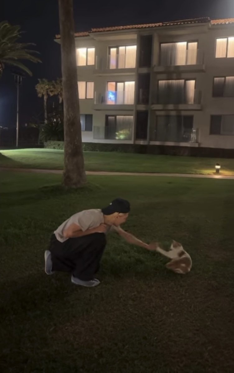 b1tesize's tweet photo. wooyoung 2026 chuseok adventures so far:
- petted a cat (not his)
- bit by a cat (not his)
- bounded with a kid (not his) https://t.co/kj6Emq6tUP